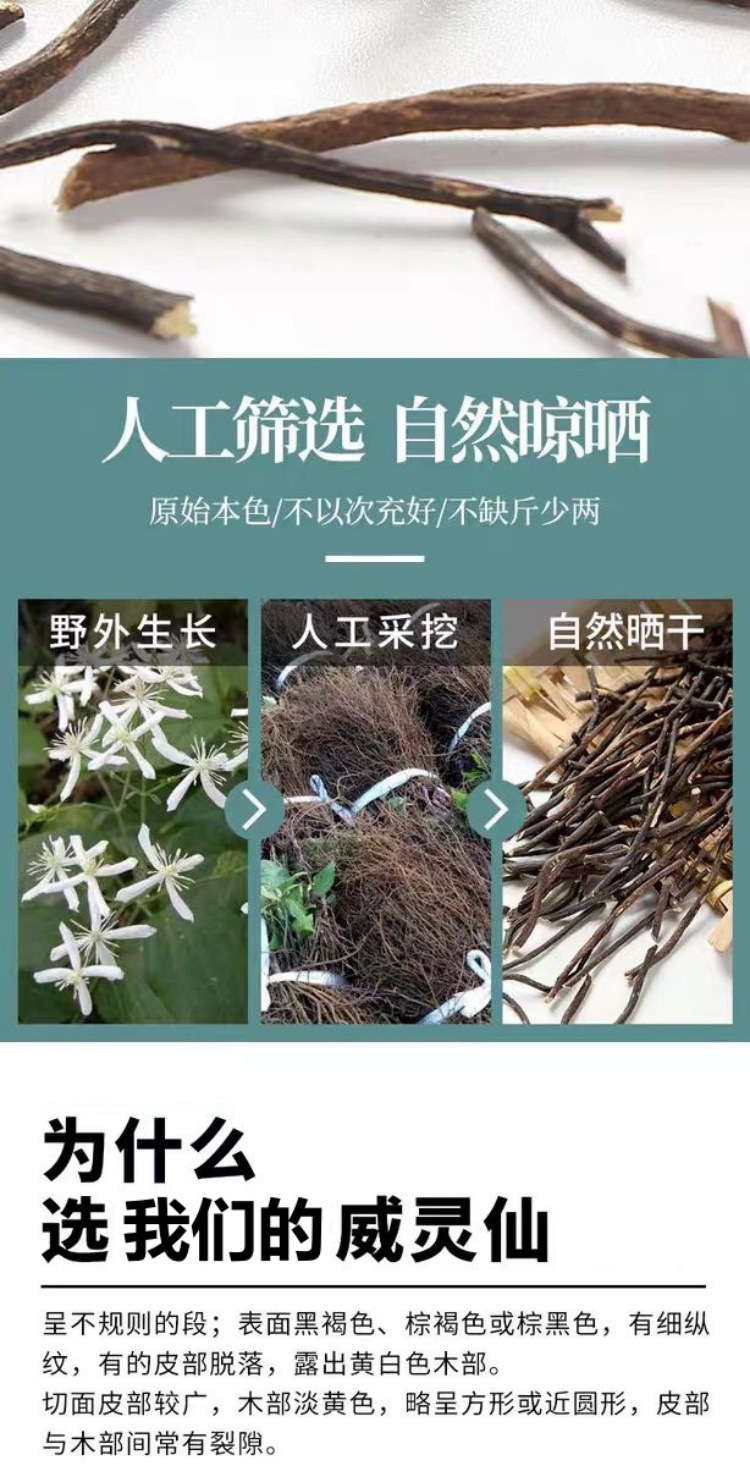 Wei Ling Xian (Clematis chinensis) — Dried Herb Segments, 500g Sulfur-Free New Crop key features