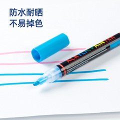 Showpro Acrylic Markers: 12/24/36/48-Color Sets for Albums, Perfect for DIY Projects