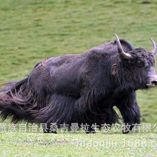 �ຣ��ţ ������ţ�r�� ��Դ��ţ ���К�ţ �ຣ���خa �����خa