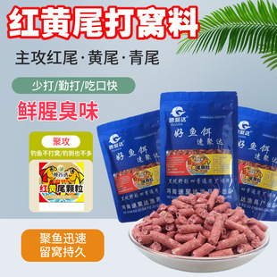 �t�Sβ�w���������Ұ឴�C�����Sβ������β�N�A�N���~�T��D