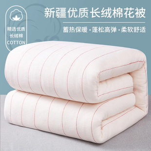 Xinjiang Long-Staple Cotton Quilt Cotton Quilt Core Cotton Batting Mattress Quilt Pure Cotton Student Dormitory Special Winter