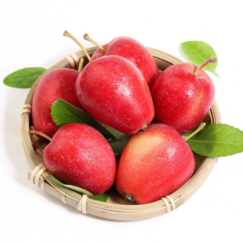 新疆香妃海棠果新鲜水果整件包邮当季水果香妃海棠果一件代发