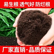 营养土养花通用型种菜专用种花土壤花肥多肉家用盆栽种植花土温隆