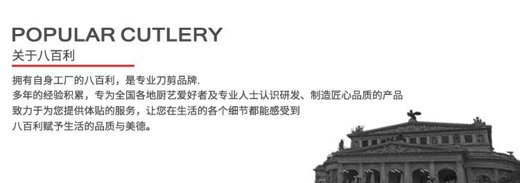 八百利品牌形象（现有详情）