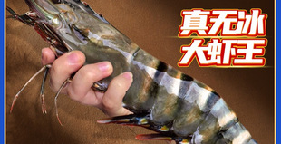 �ڻ��r���r�����ش�����r������r�߹��r�Ź��r����ƺ��rˮ�a