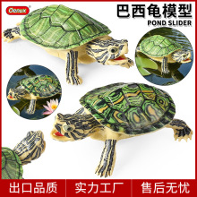 跨境野生动物模型仿真巴西龟乌龟陆龟鳄龟玩具儿童认知男女孩摆件