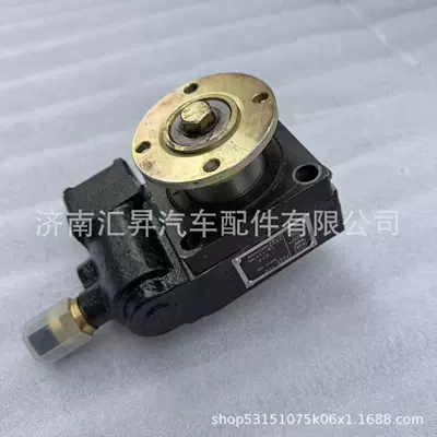 WG9725290019 Power Other walking systems
