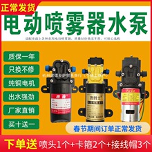 늄Ӈ��F��ˮ�ø߉�С��12V�R�_��Ĥ��늙C�r�ô�ș�C�����ȫ