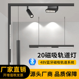 Concealed Graffiti Smart Mainless Light Embedded Magnetic Rail Light Living Room Hotel Grille Rail Light Led Spotlight