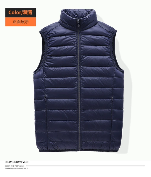 50181-Tibetan Qing