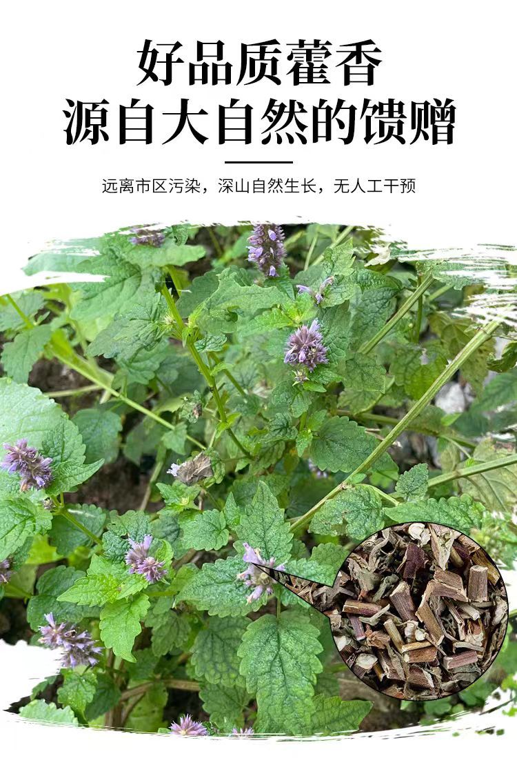 Guang Huo Xiang (Pogostemon cablin) — Dried Food-Herb Aerial Parts, 500g overview