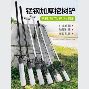 Special shovel for digging trees Manganese steel Luoyang shovel outdoor agricultural tools broken tree roots deep digging soil pit ditch artifact