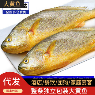 ��؛���S���~���r������rˮ�a�r����r���~����С�S�~�S�~������