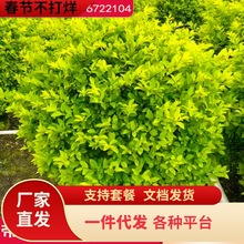 һ�����l�S���~��������ͥԺС�^���~Ůؑ�G���ļ����ྰ�^�G����