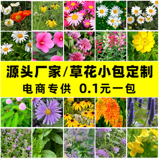 ��̹�؛С�ʰ����������ܷN��޹�²�̫ꖻ����_�m���яS�����l