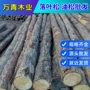 东北河道护坡打桩木桩