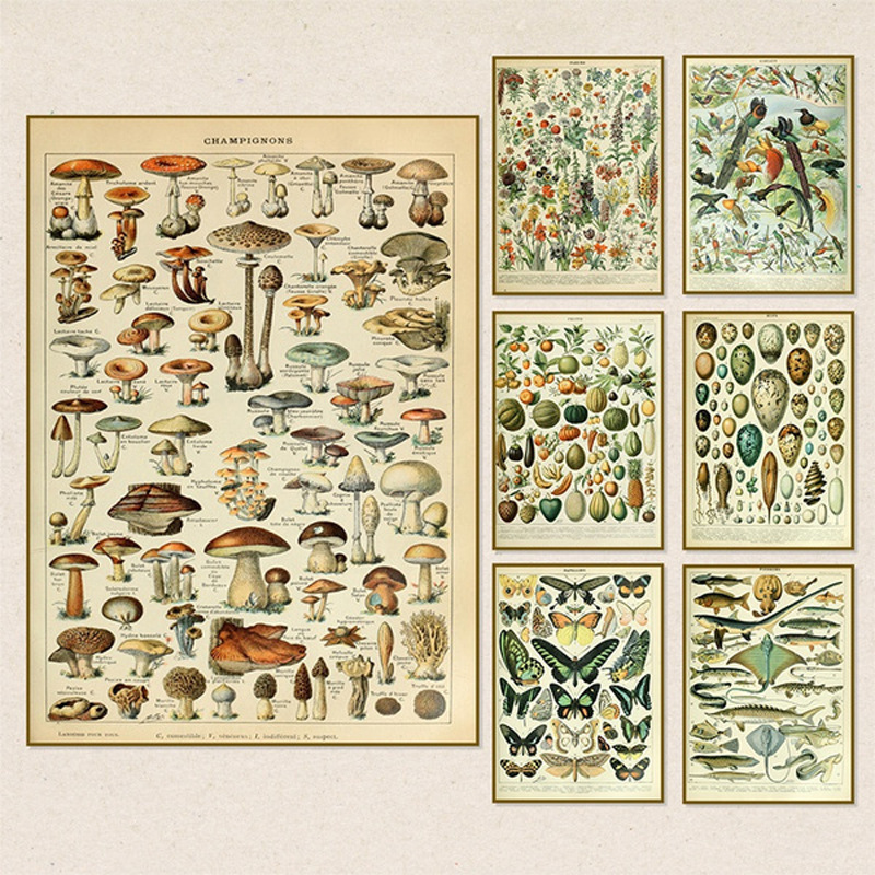 Modern Simple Single Retro Old Insect Animal Teaching poster Spray Painting Study Wall poster Hanging Painting