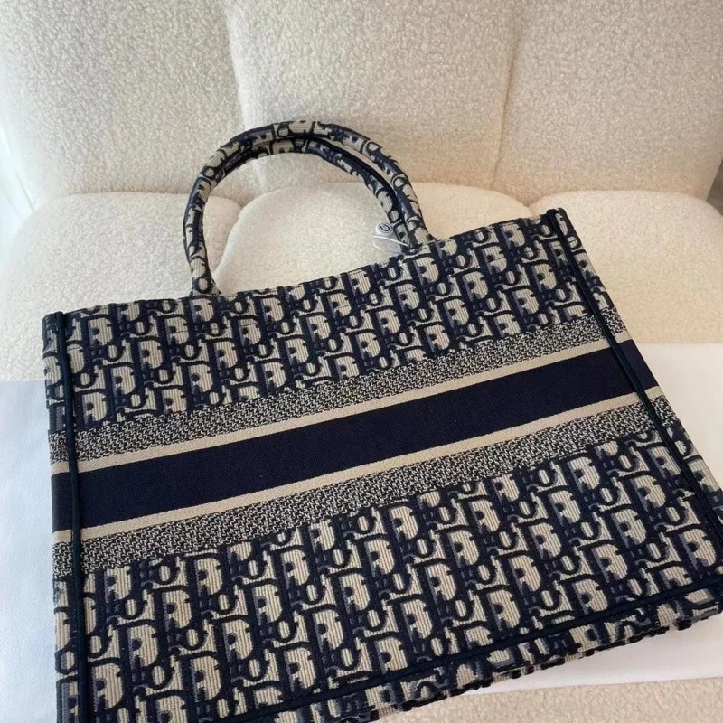 Bolsa de compras de gran capacidad de celebridades de Internet 2024 nuevo bolso portátil de un solo hombro de lona presbiteriana bolso femenino de lujo ligero de nicho