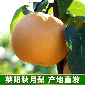 非处方滋补膏;软糖;其他冲调饮品