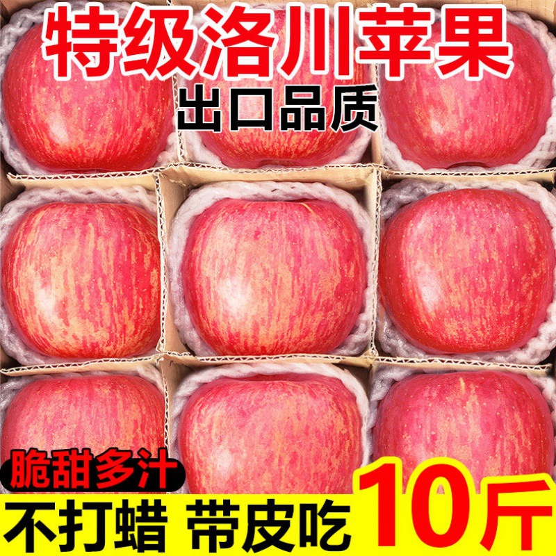 Apple Red Fuji Luochuan Shaanxi Luochuan fruit wholesale Full container factory wholesale Reminiscence leisure time