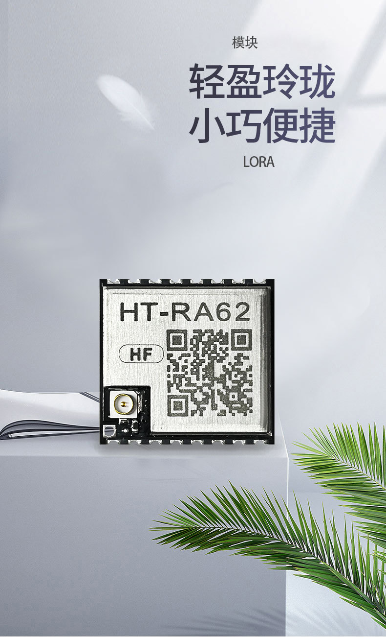 RA62_01.jpg