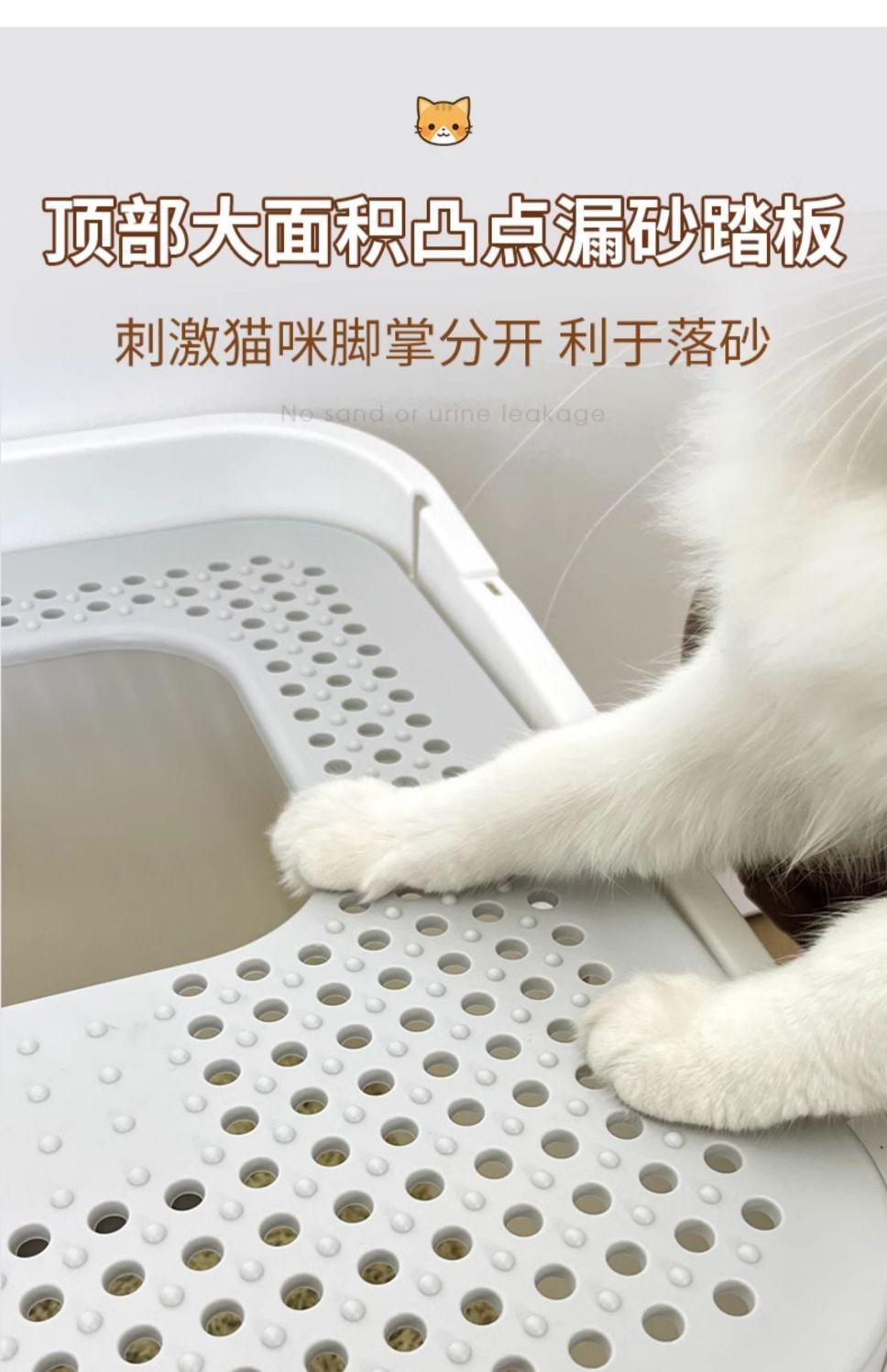 41cfdd68-29ee-432f-b6a4-482f724c8172.jpe