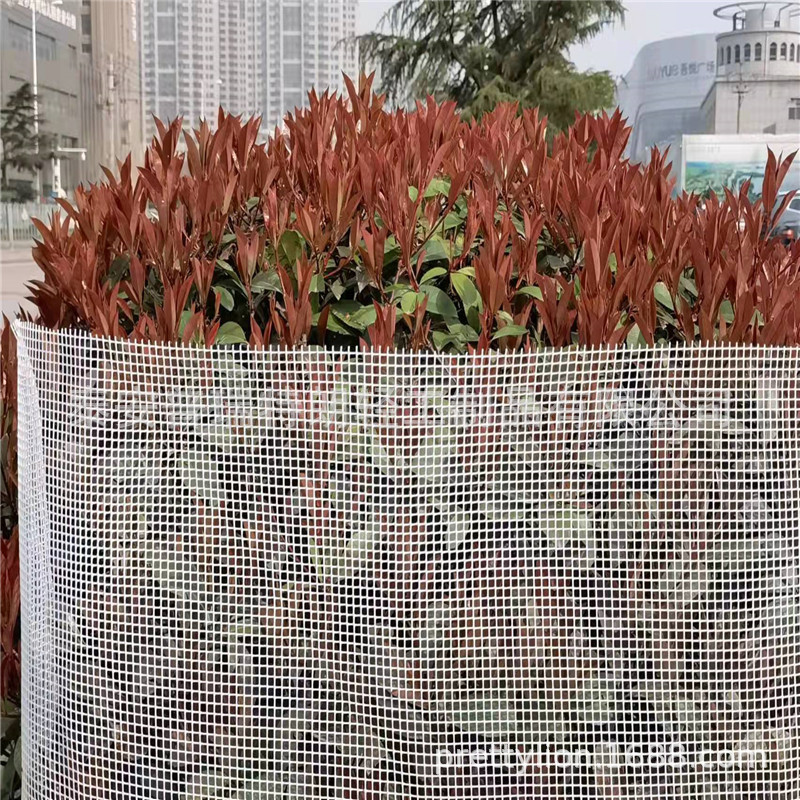 厂价优惠供应塑料园艺网、方格网、 菱形网