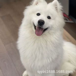 ���N�_ĦҮѩ��Ȯ��Ȯ���w����ɫ΢Ц��ʹ�����Ȯ���ﹷ���B��