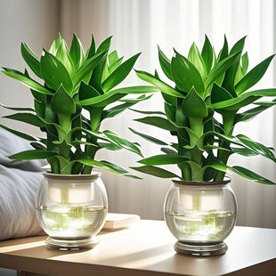 ˮ���^�����F���҃��ļ����B�Gֲ�k���ҿ͏d����ȩ�����՚�ֲ��