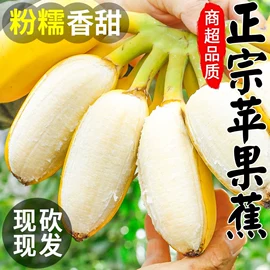 传统糕点;西式糕点;酱腌菜