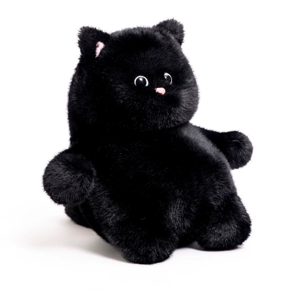 Black cat cub-fat baby