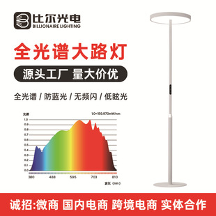 Customized Puri Lamp Bead Learning Eye Protection Floor Lamp Student Reading and Writing Homework Anti-Blue Light Full Spectrum Street Lamp