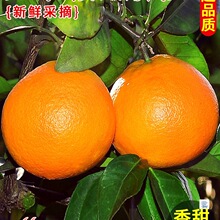 �����M��Ě�����r���Ӯ���ˮ���ք��������ӱ�����ȴ��������]