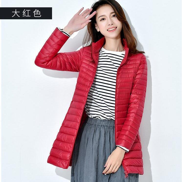 빅 레드(여성 스탠드 칼라)