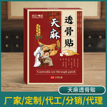 ����͸���N͸���N�����N�i׵��׵ϥ�w�����N�P���N�����N�F؛