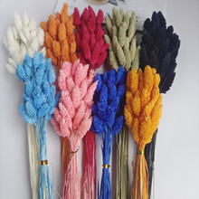 ��ʯ�ݸɻ���β��ԭɫ����������β�Ͳ��滨�ɻ��b廨�ɻ����l