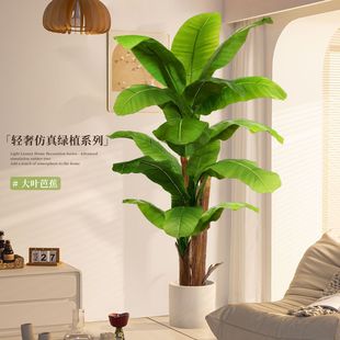 ���A����Gֲ����Ž�������҃��쾰������ؔ[�����W�L�پGֲ�S