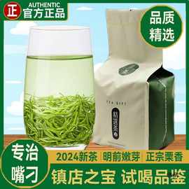 级紫阳富硒茶叶绿茶2024新茶高山浓香明前嫩芽毛尖春茶自己喝