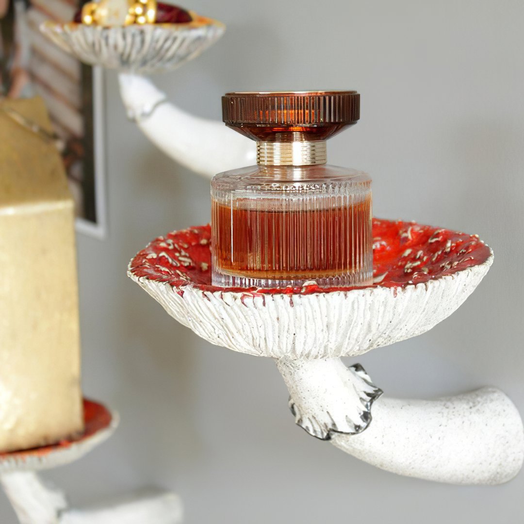 Mushroom Hanging Shelf