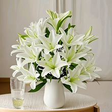 羳18^ٺϻҾbbzӰ羳ִ֧