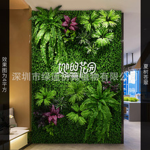 ���Ę��n�䡿����ֲ�1ƽ���|�����w����Gֲ���bGɫ�쾰