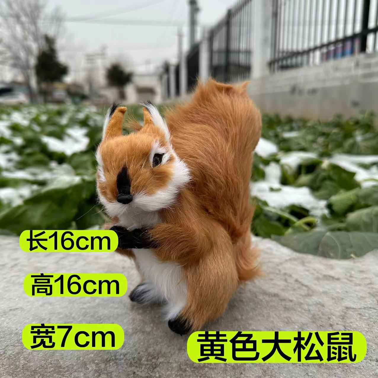 微信图片_20240328110045