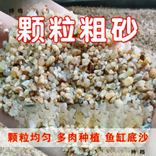 多肉河沙土纯天然粗沙颗粒造景铺面种花鱼缸底砂微景观水族种植拌
