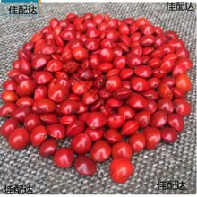 ��Ȼ�t������ԭ����˼�����t���ִ����ɢ��Փ��t������һ�w���