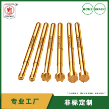 ȵICTyԇ 菗 pogopinᘏ̽