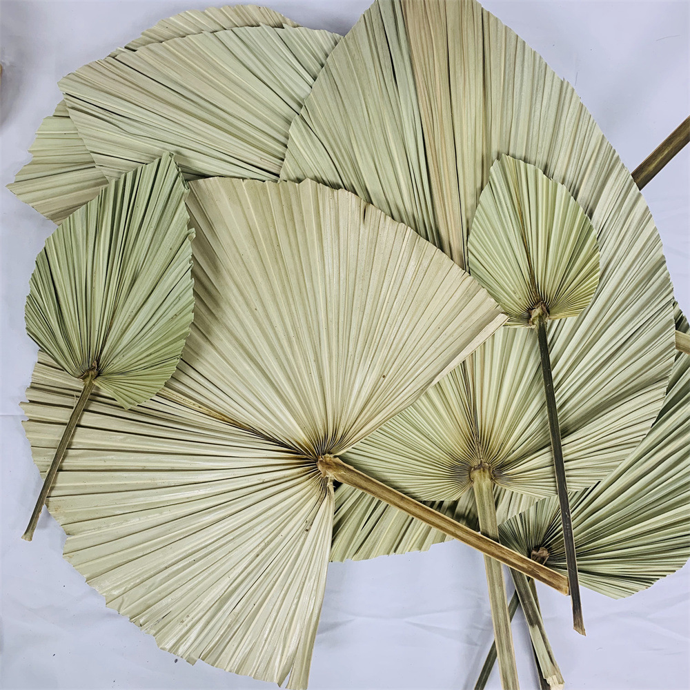 Los fabricantes de hojas de la flor seca de la hoja de la palma de la planta de hoja de la flor seca de la hoja de La Palma