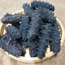 批发淡干海参海产干货 团购250克微冻工艺海参特价包邮