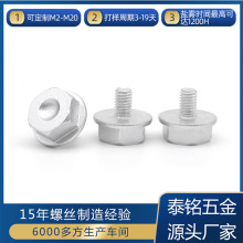 ���������ǎ����X�ݽz M8*12��܇݆ݞ�����X�ݽz