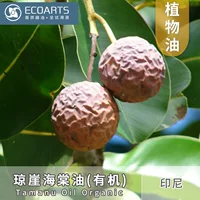 Qiongya Begonia Oil Индонезия Импортное органическое растительное масло Орехи Экстракт холодного отжима Базовое масло Эфирное масло Яги