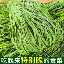 贡菜干干货特级贡菜苔干菜苔菜农家特产火锅食材脱水蔬菜250g新鲜